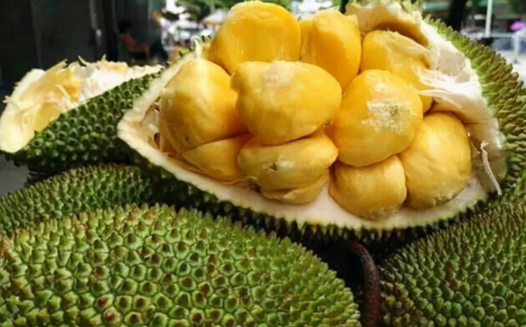 What should I do if the jackfruit is cut in half and not ripe? Will it