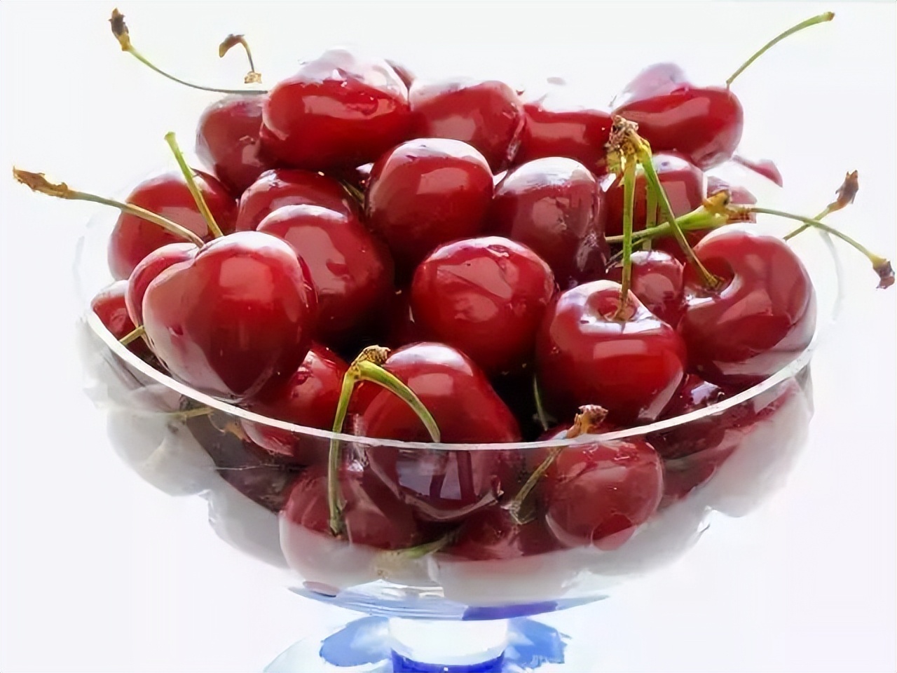 Life Encyclopedia How to pick cherries iMedia
