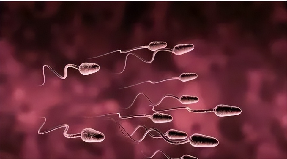 A question from a young single woman: Can a man ejaculate and pee at