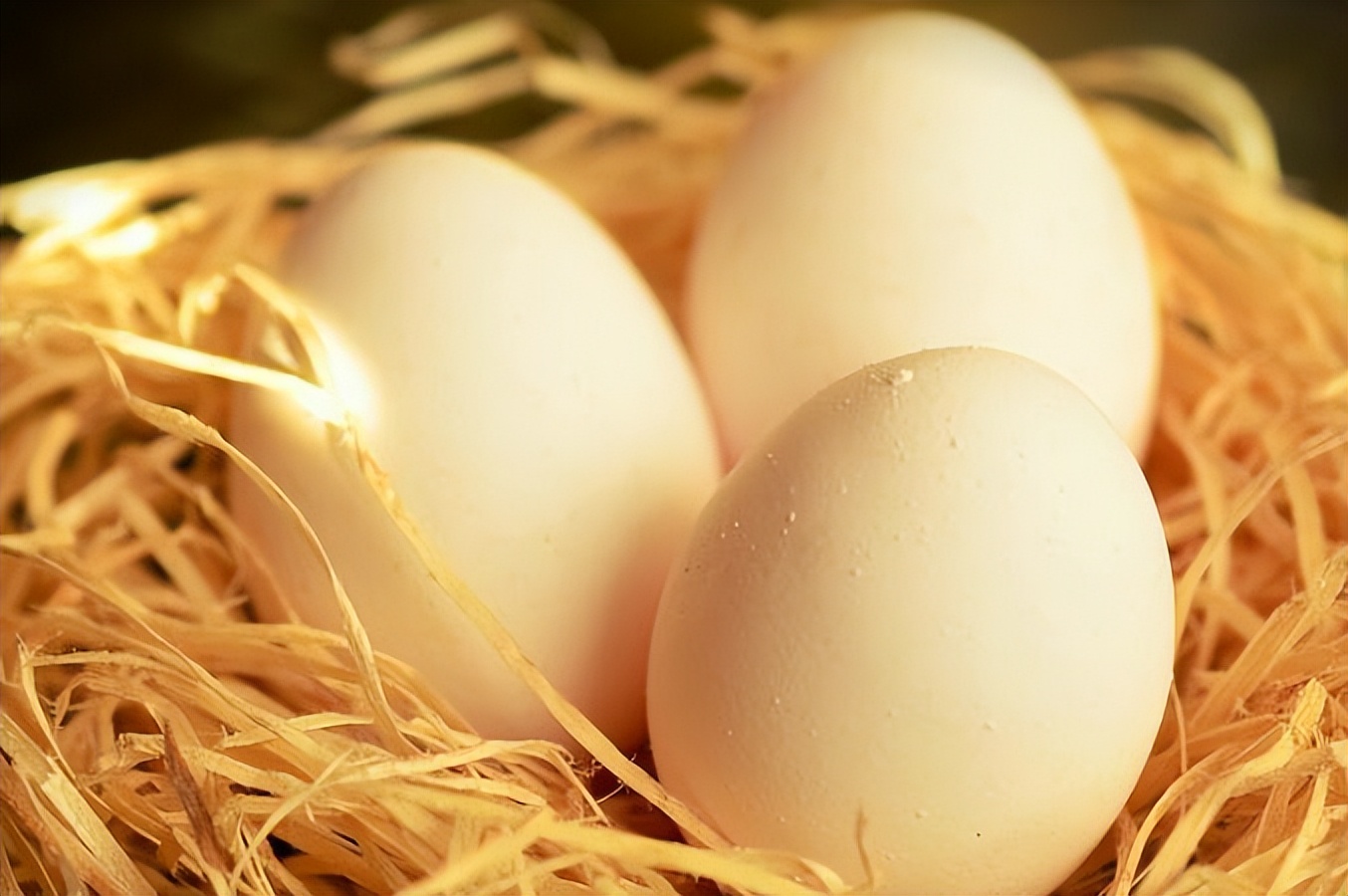 What egg is used for the custom of the vertical egg on the autumn