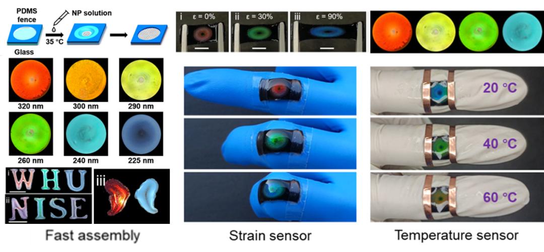 The research group of Professor Xue Longjian of Wuhan University has ...