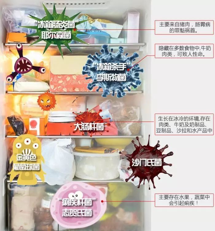 Is it better to use the refrigerator in summer to save electricity