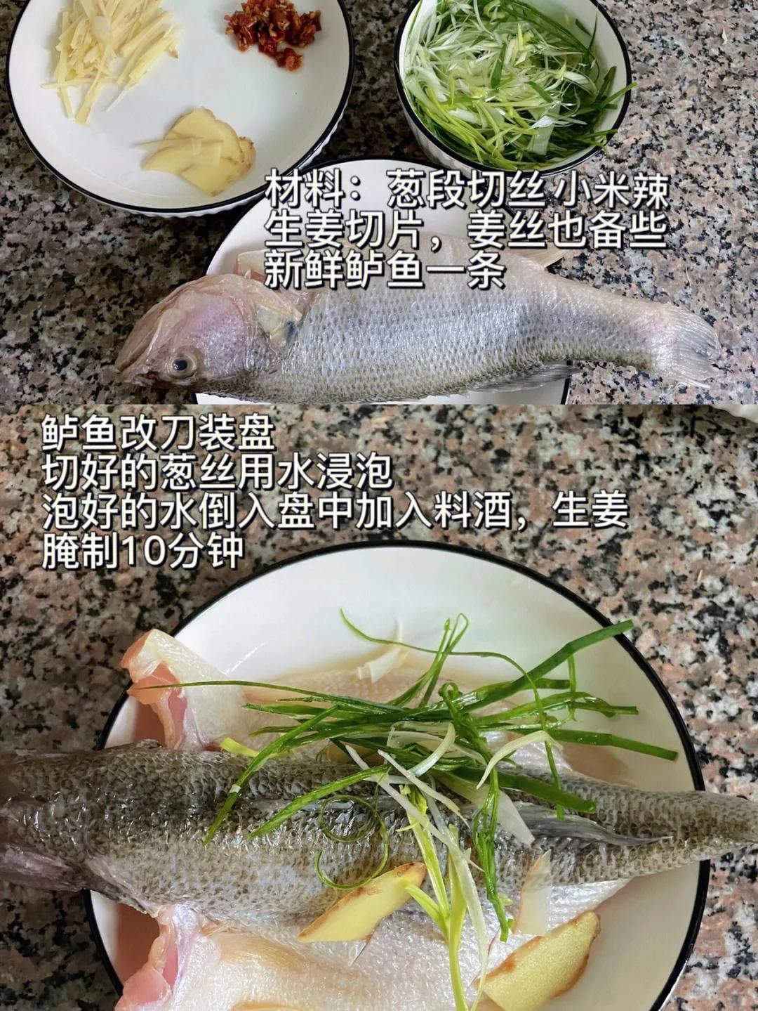The practice of steamed sea bass iNEWS