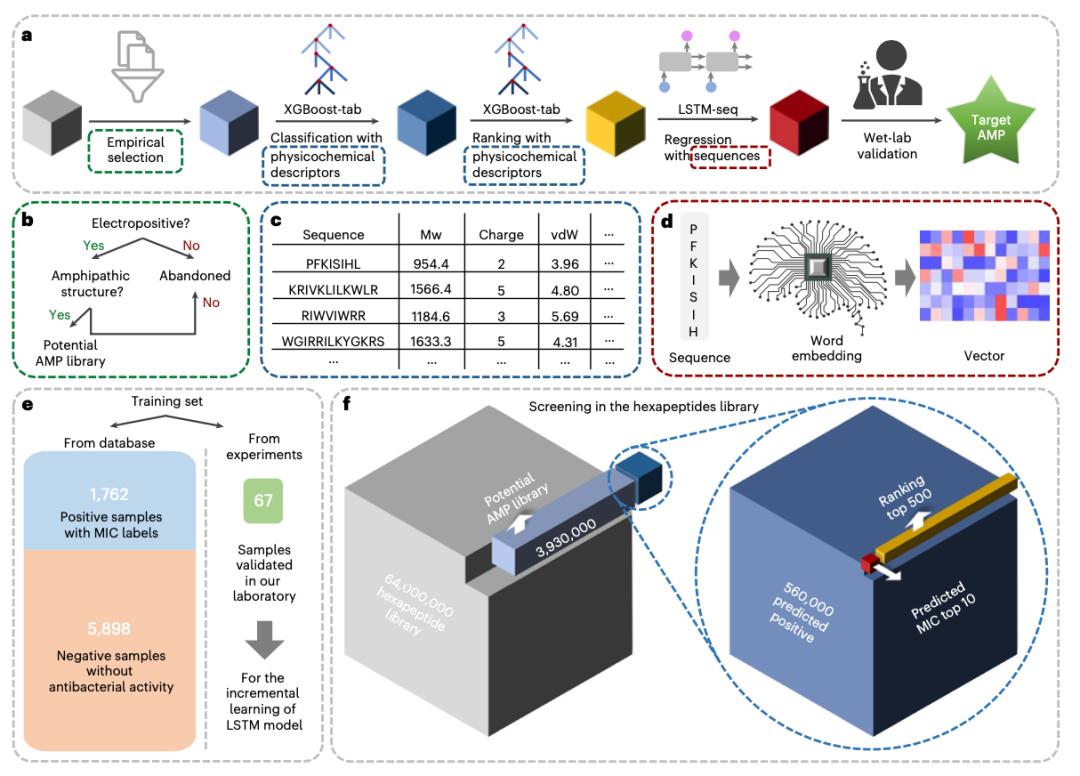 Peptide Machine Learning Zhejiang University develops a machine learning method to identify ...
