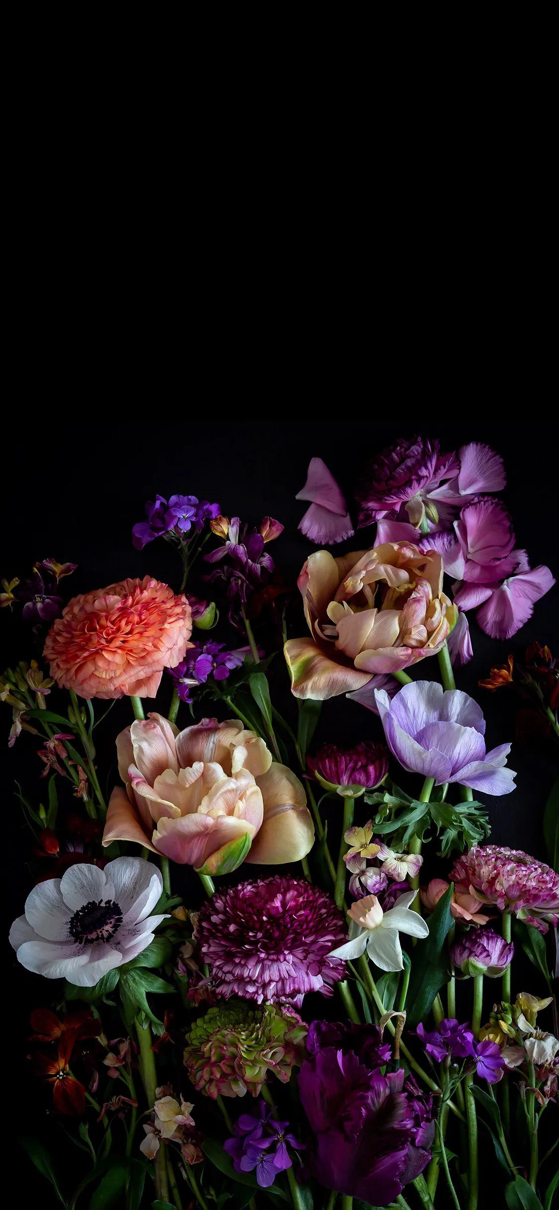 flowers in the dark iMedia