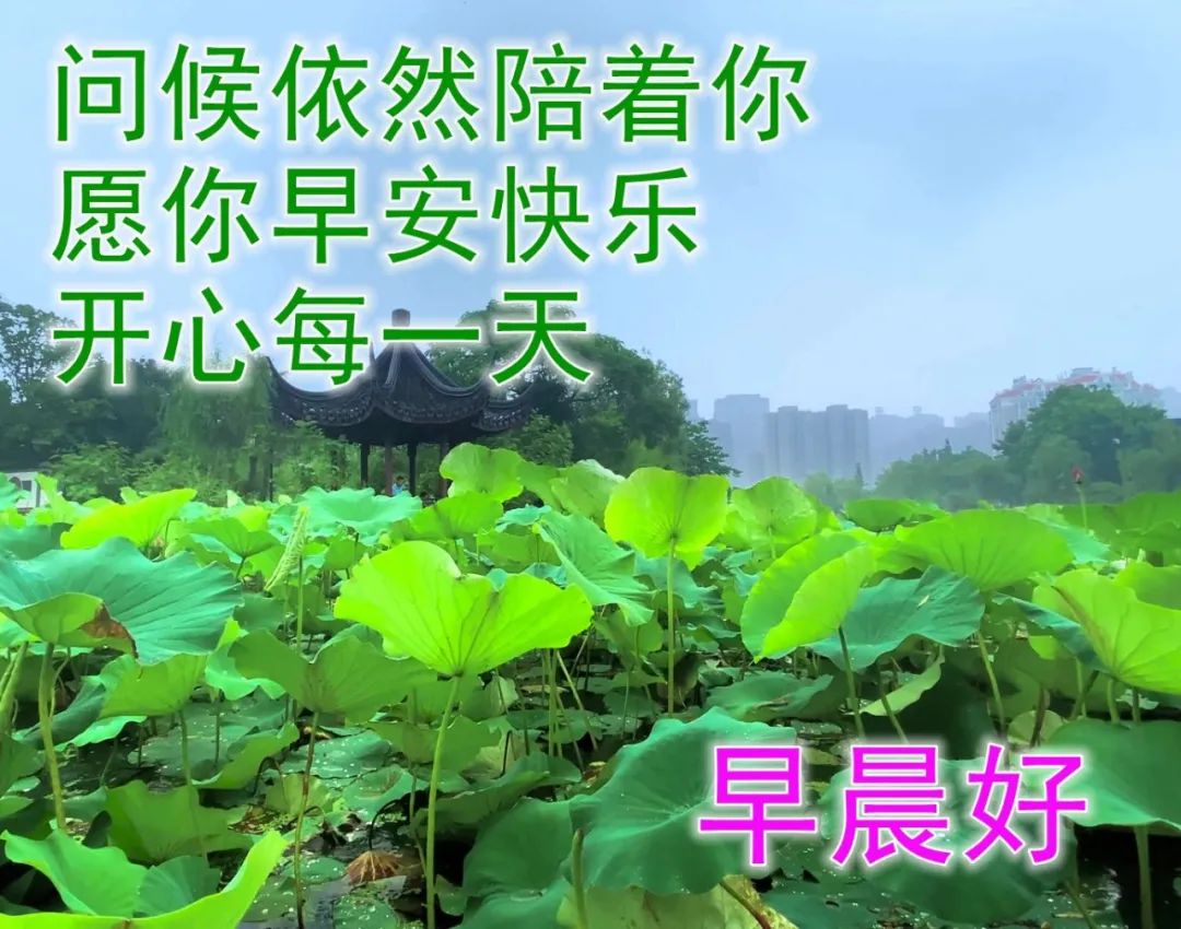 关于下雨天的心情的图片文字