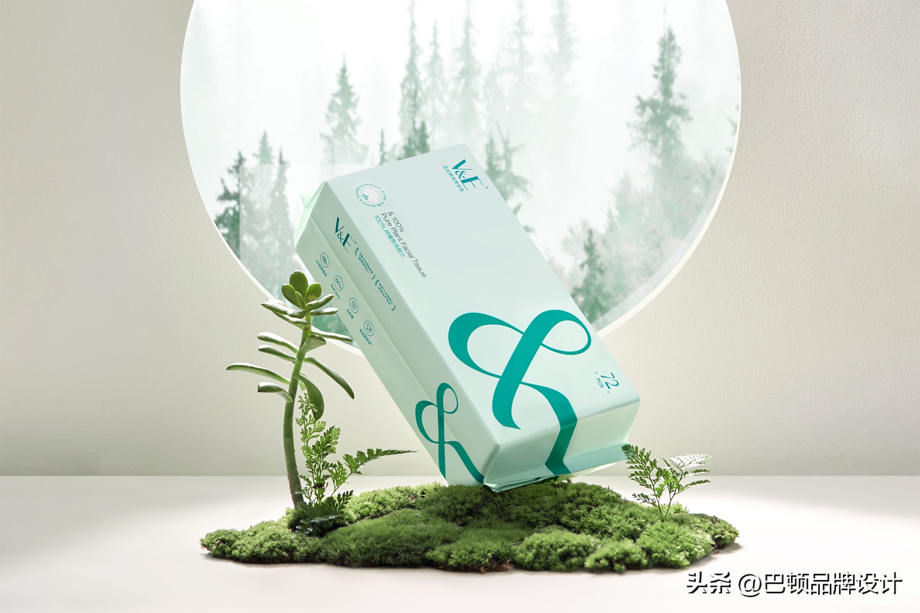 What are the employment directions of packaging design majors? - iNEWS