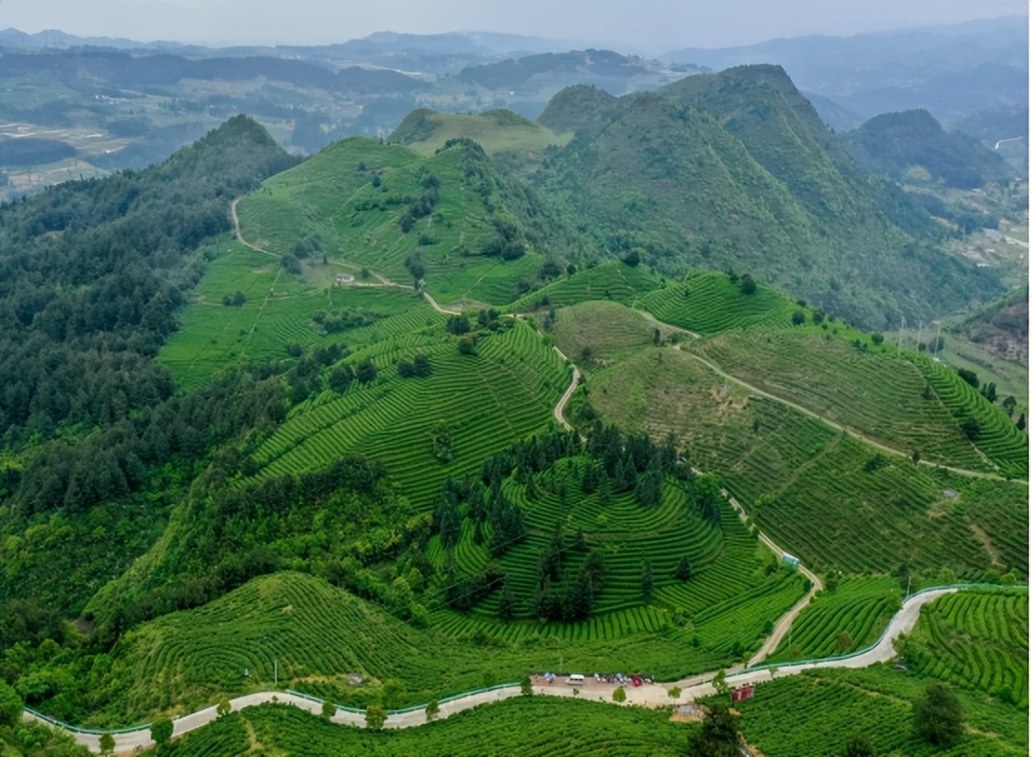 The Danzhai Tea Garden Creates A Tourist Destination Of "integration Of ...