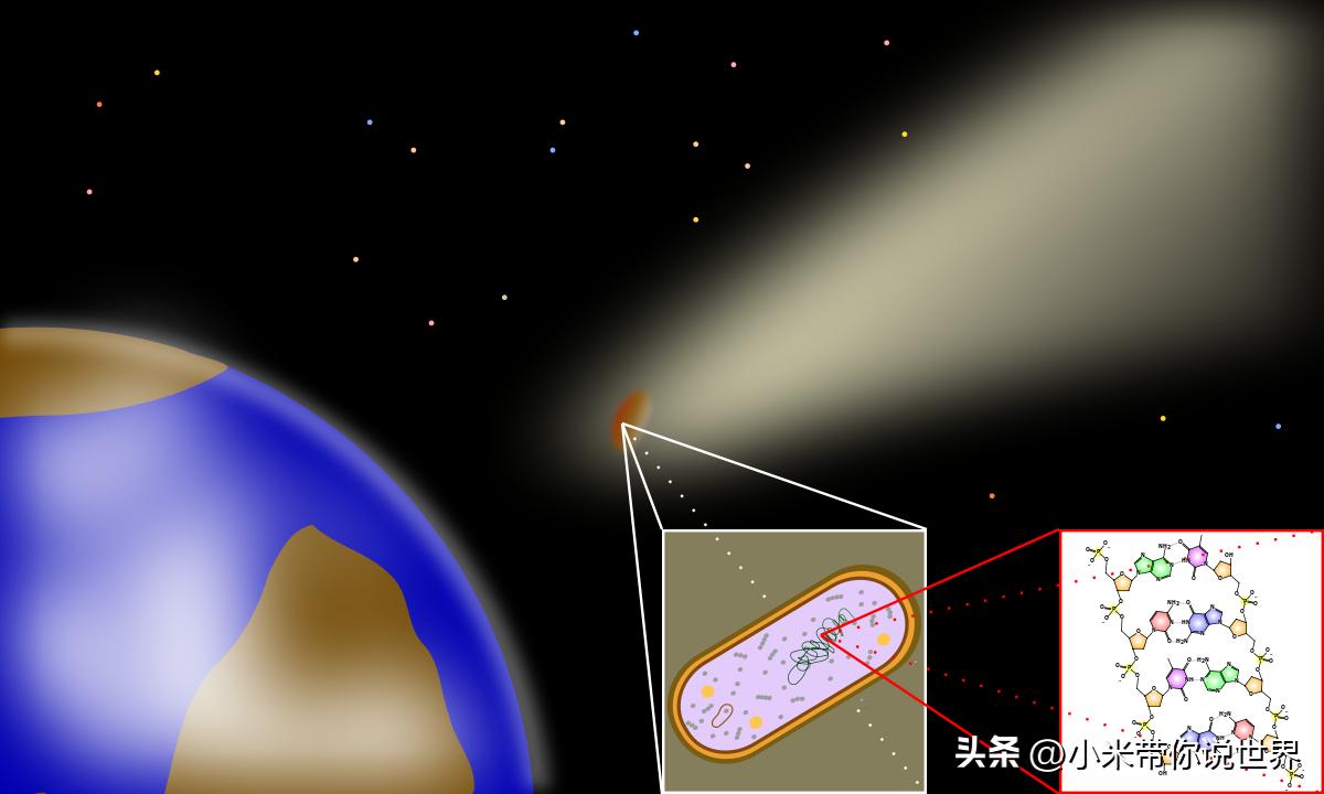 Some scientists believe that the real origin of human life is not the ...