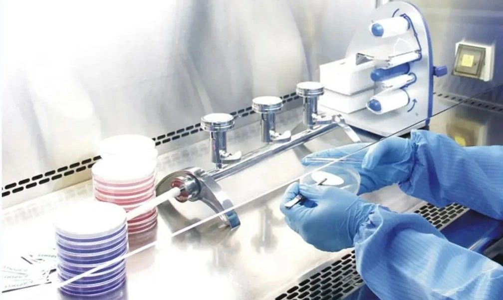 Legend Strategy International (01355.HK) Hot Market Trend Analysis