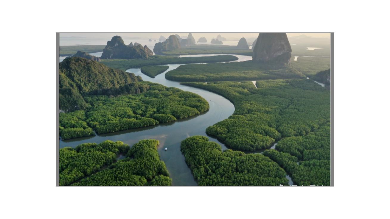 Do you know what are the weaknesses of snakes? iNEWS