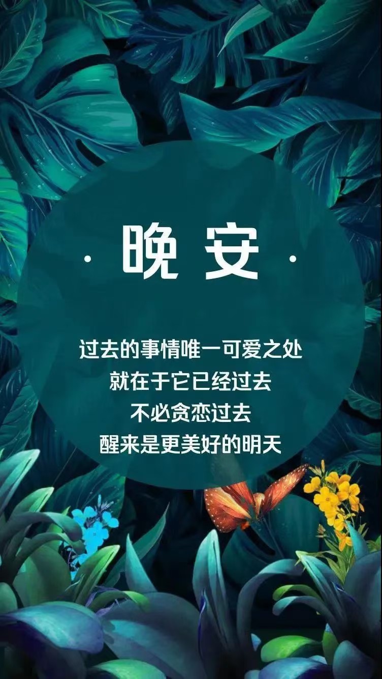 晚安问候语mar/20(1)╭╮ ——74 6206/6068 ——礼┊ 将