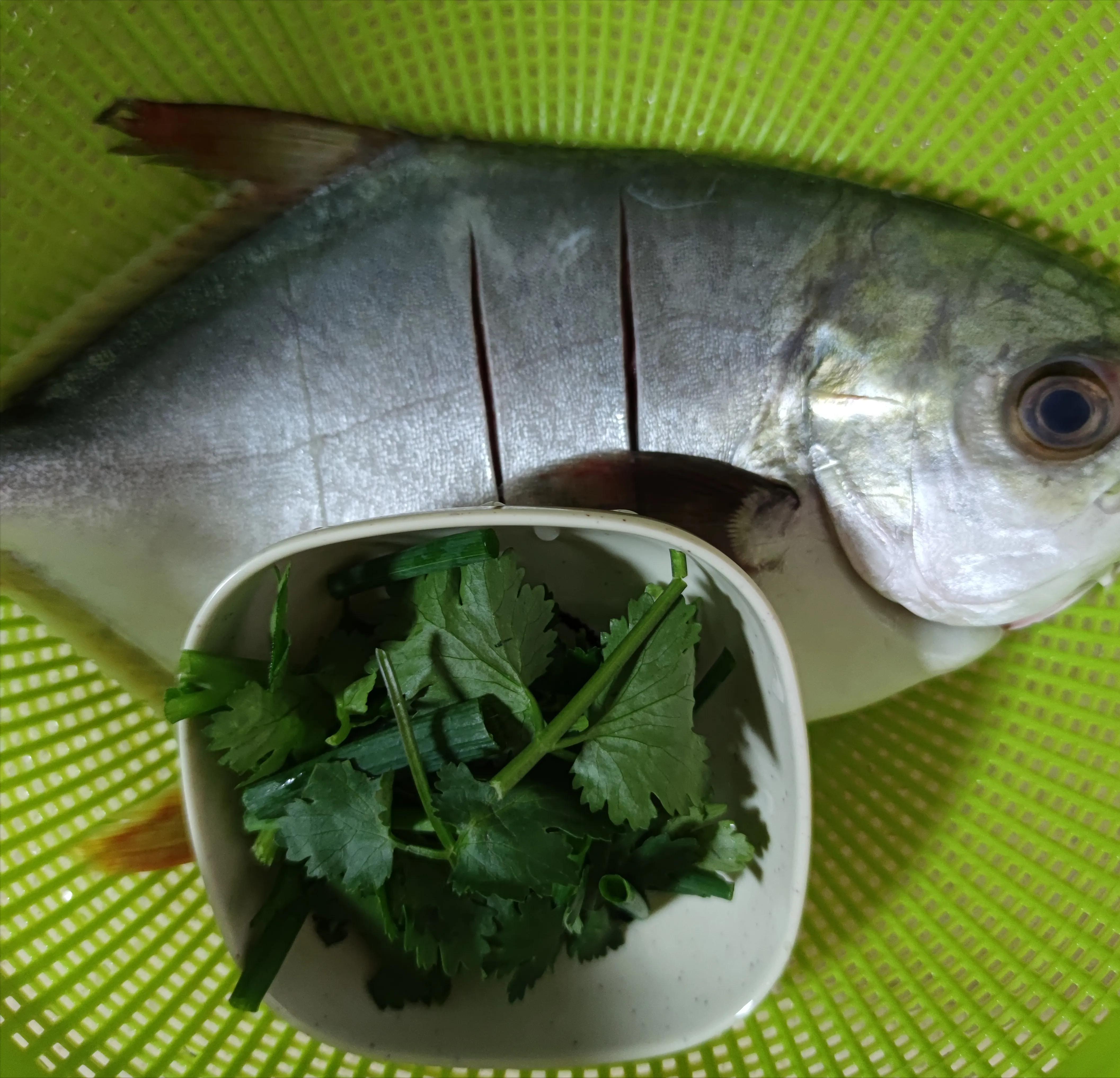 Braised Pomfret iMedia