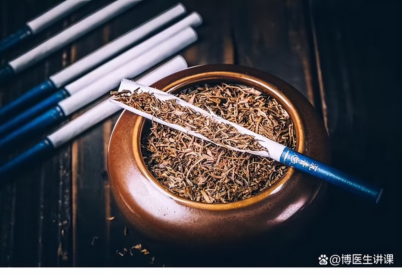 Australian Native Teas | LORE Australia