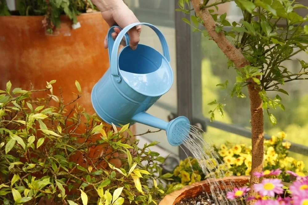 Flower Consumption In June, the water consumption of 6 kinds of flowers has increased ...