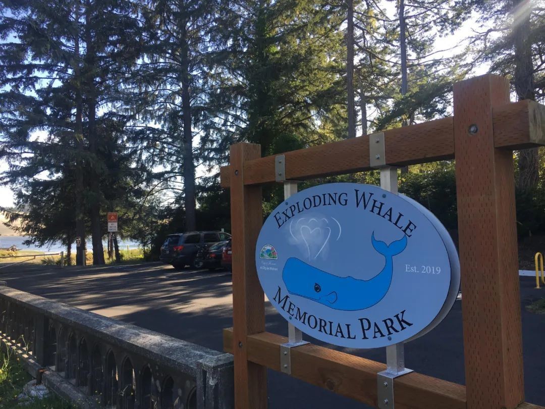 How scary is the whale explosion?The whale blew itself up in the sea ...