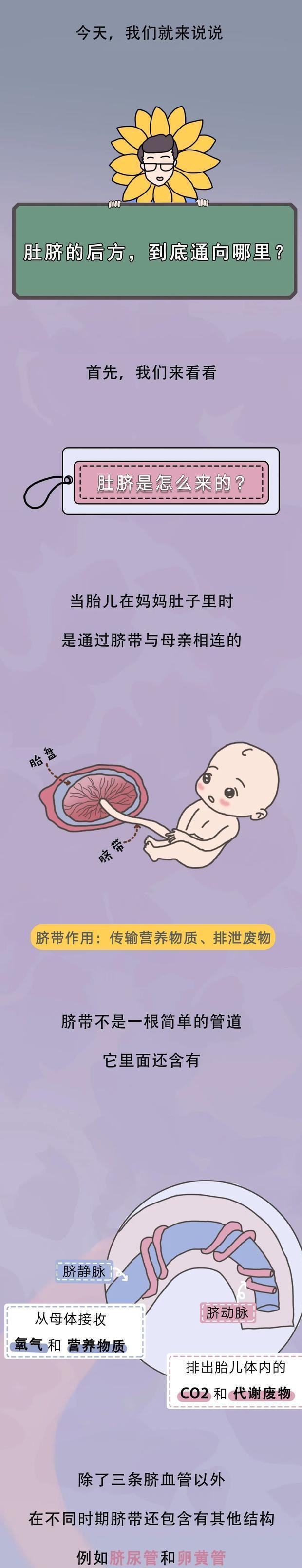 Where does the belly button lead?Does picking your belly button hurt