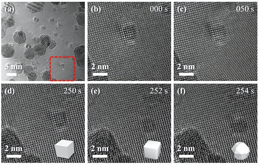 Atomic-scale study of van der Waals forces regulating crystal surface ...