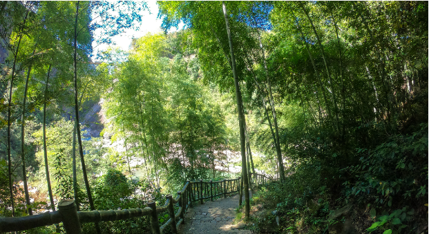 Jiangxi Shangrao Wangxian Valley - iMedia