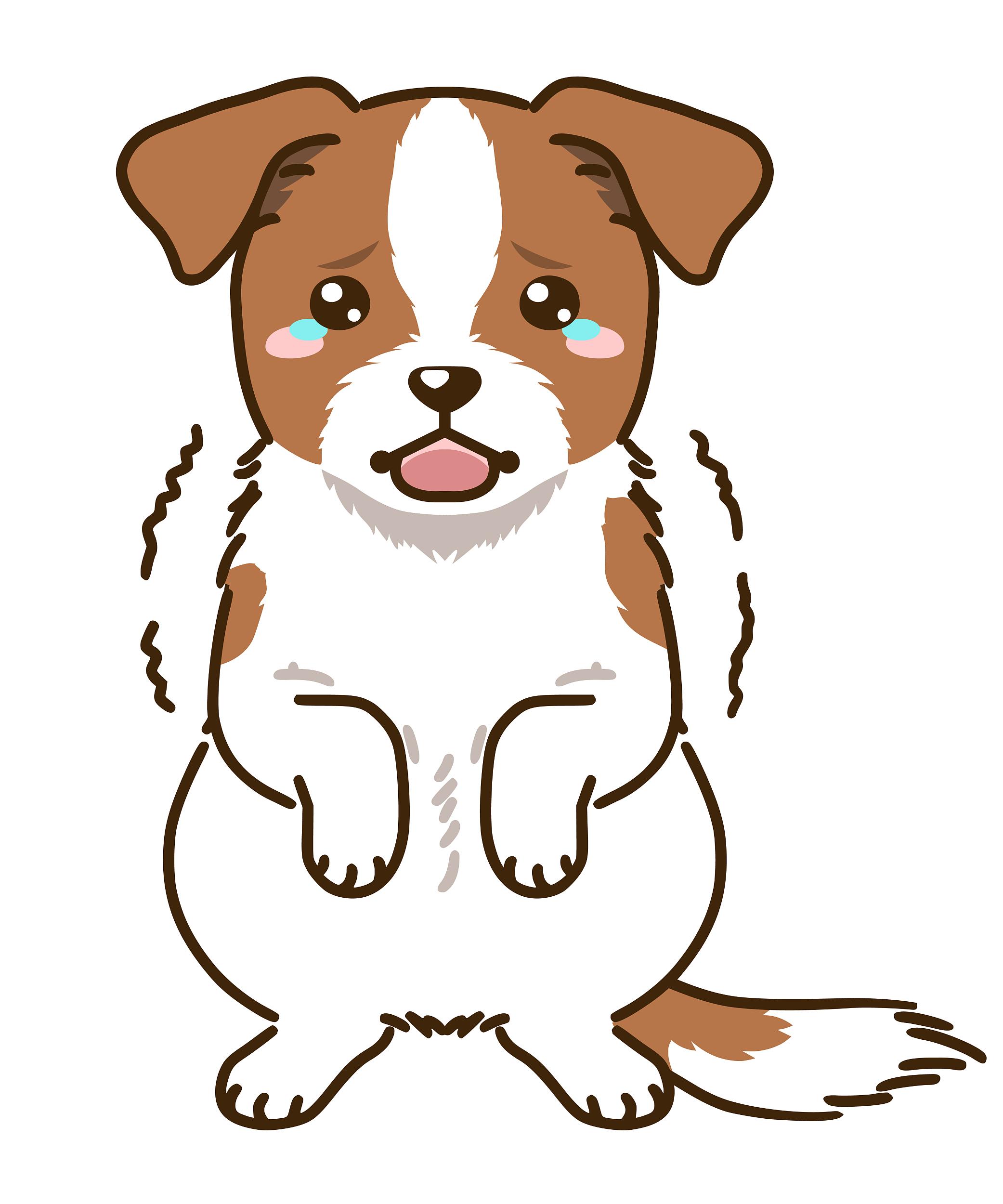 Not only is the dog shivering because of the cold, it may also be due