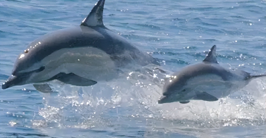 What kind of shooting techniques and scene processing are used in "The