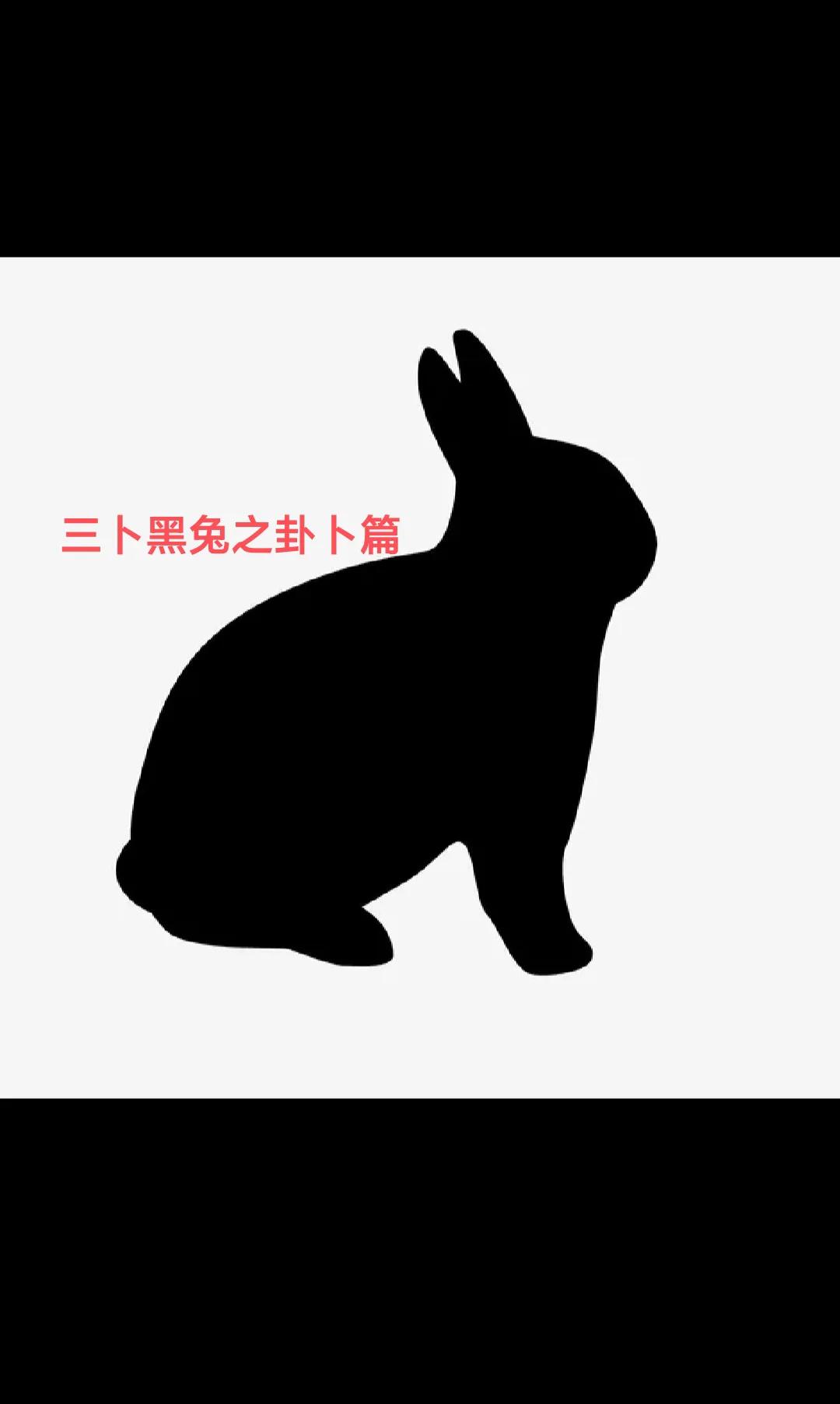 The Hexa Rabbit's Hexagrams and Divinations - iMedia