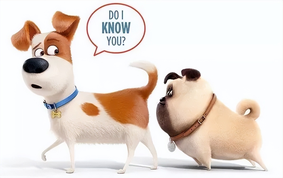 Magic mating secret Why do animals smell each other's butts? iNEWS