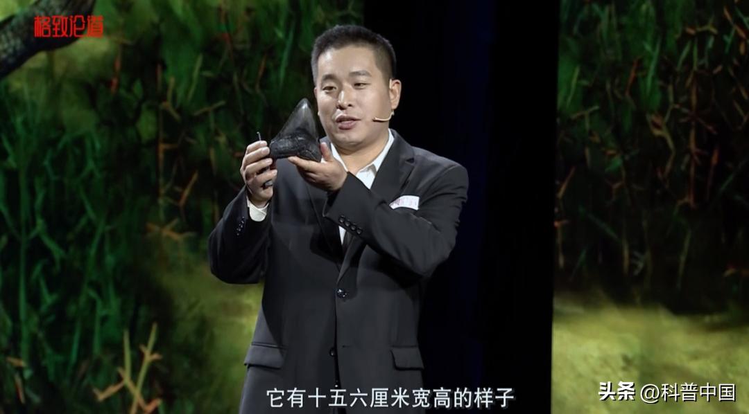 This shark was once the "strongest killer" that ever lived on earth iNEWS