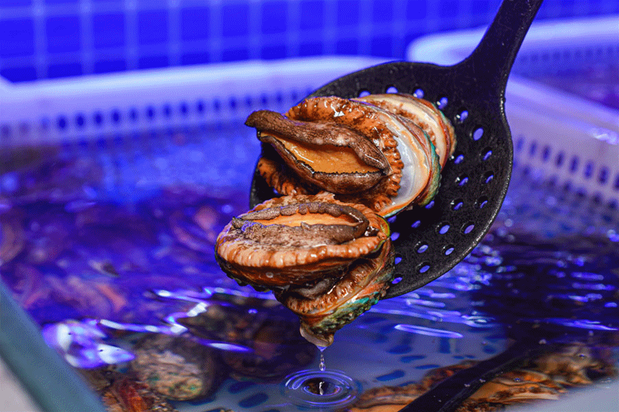 "Super Star" Seafood Buffet Ceiling, AllYouCanEat Little Green