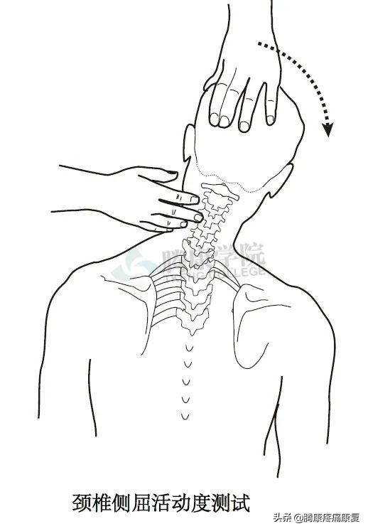 All Differences – Cervical and Lumbar Passive Movement Exams - iNEWS