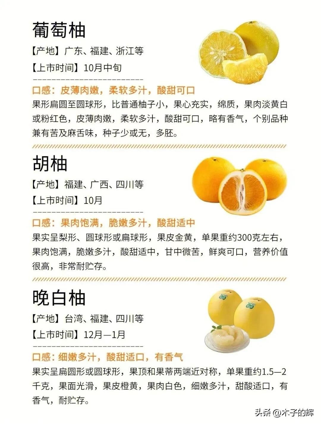 Buy grapefruit and learn these 3 skills to ensure you pick a good