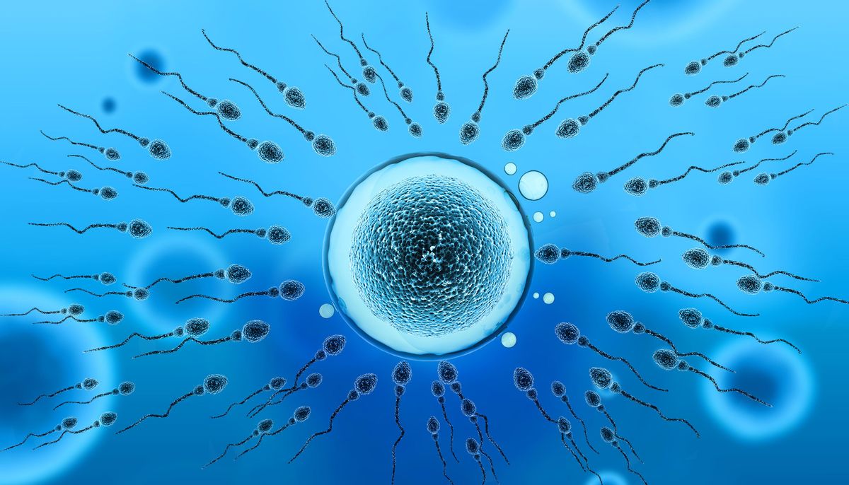 After entering a woman's body, where do the sperm that are not