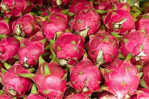 why-is-it-easy-to-have-diarrhea-after-eating-dragon-fruit-with-red