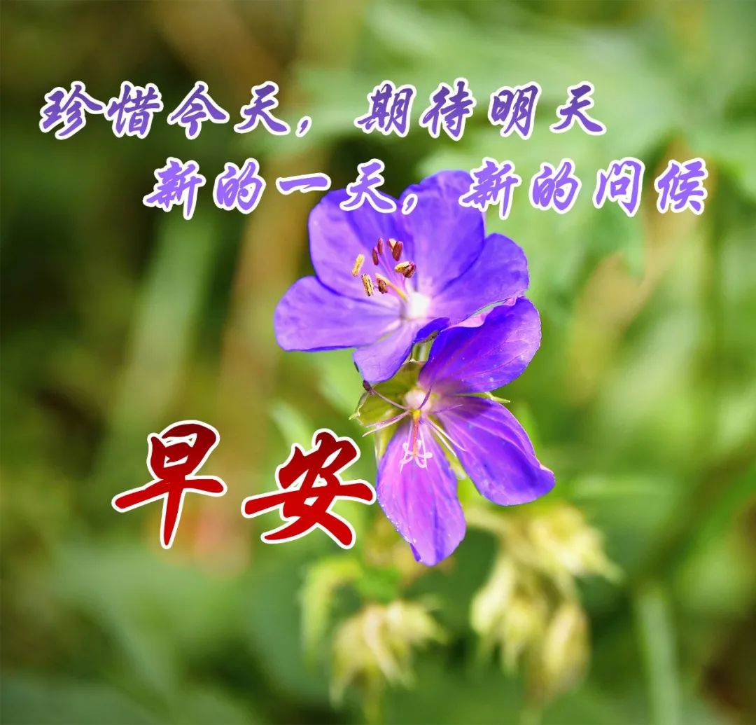 祝愿平安健康幸福的句子(祝福平安健康的唯美句子)-好句子网