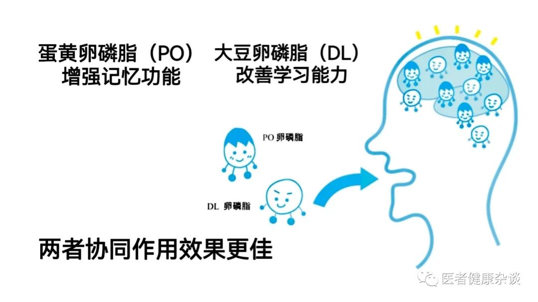 What is the nutritional lecithin, what are there, and what are the