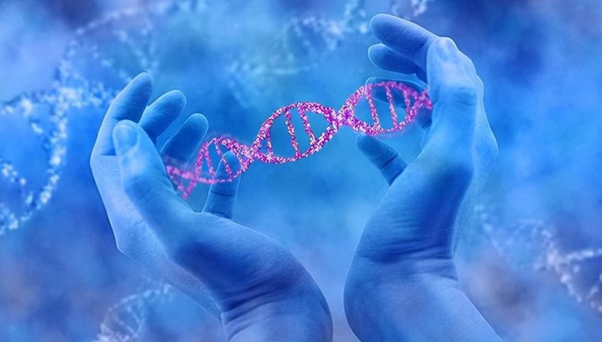 Remaining old without aging may be achievable, Chinese scientists have ...