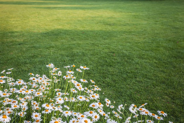 Con Tos Spring The beginning of spring is here, let us appreciate the spring ...