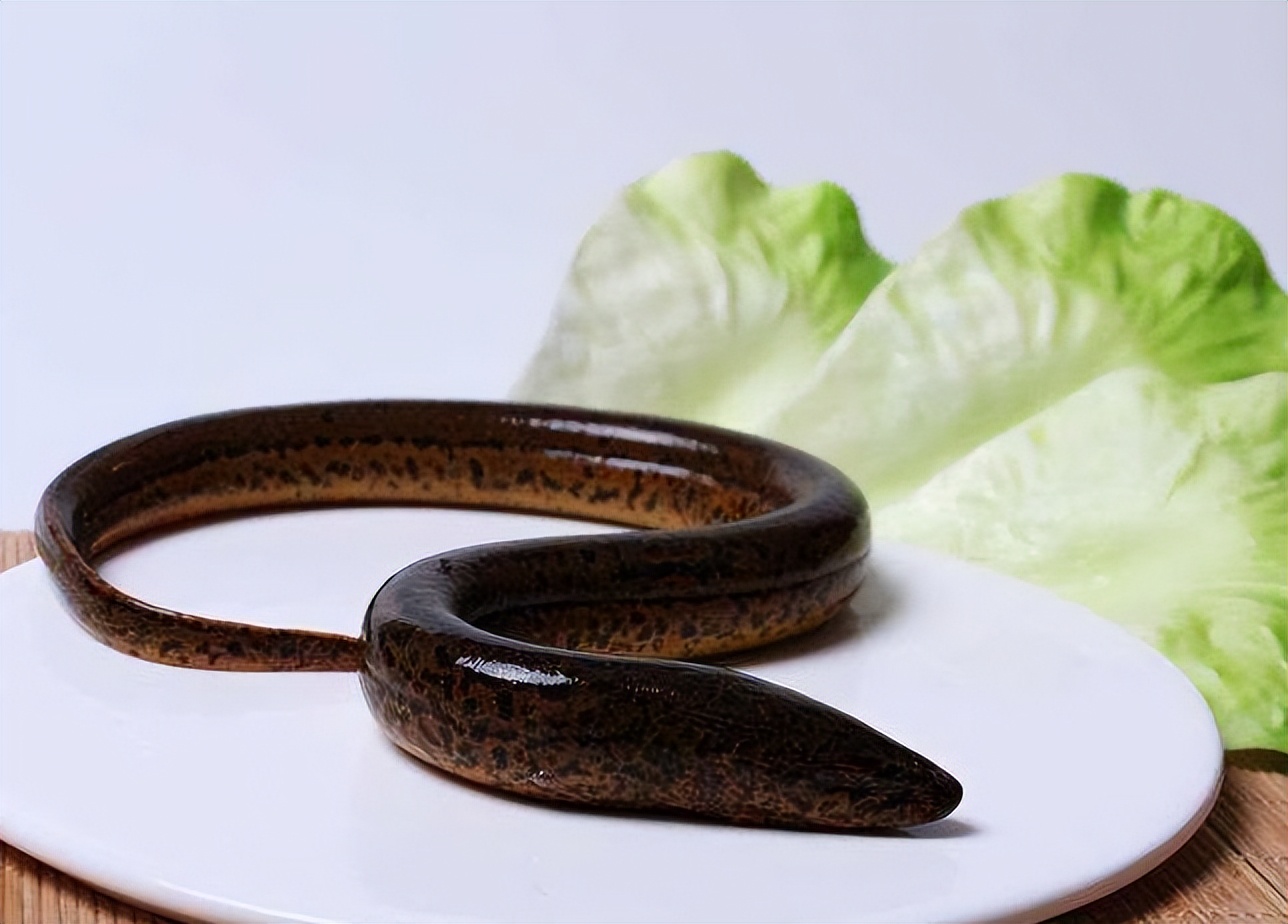 What is the use of eating "eel" often? Doctor 5 problems may be solved