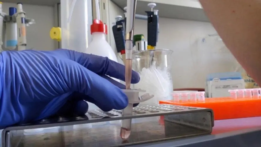 Microfluidic devices: for single-cell impedance characterization, early ...