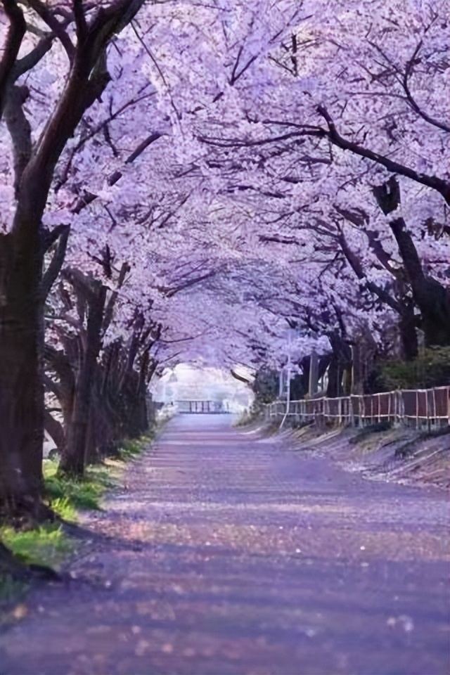 Appreciation: On the Road to Warm Spring (External Song) - iMedia