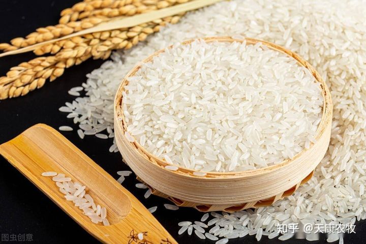 How to distinguish between new rice and old rice? - iNEWS