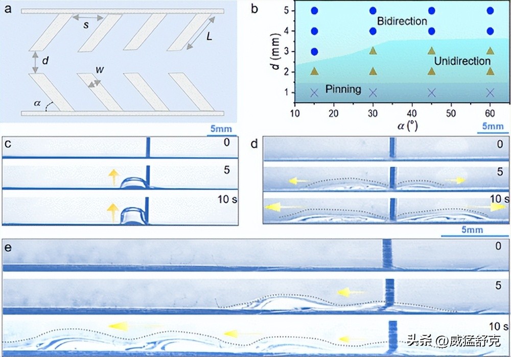 Overcoming the long-distance unidirectional transport problem of ...