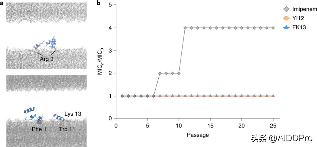 AI-designed Antimicrobial Peptides: New Hope In The Fight Against ...