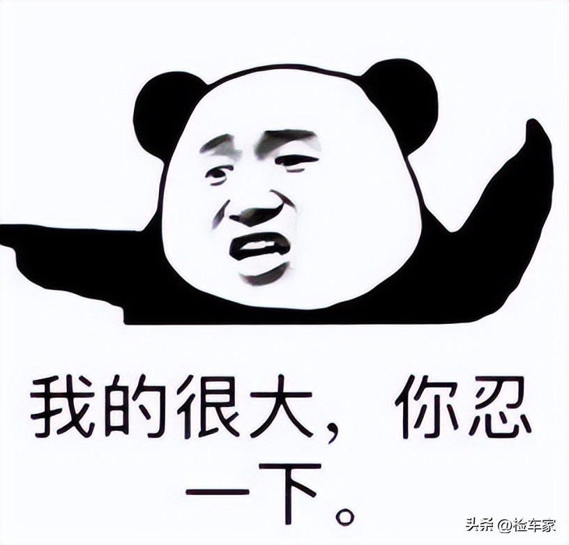 The car dealer said that this 5meter large SUV is more costeffective