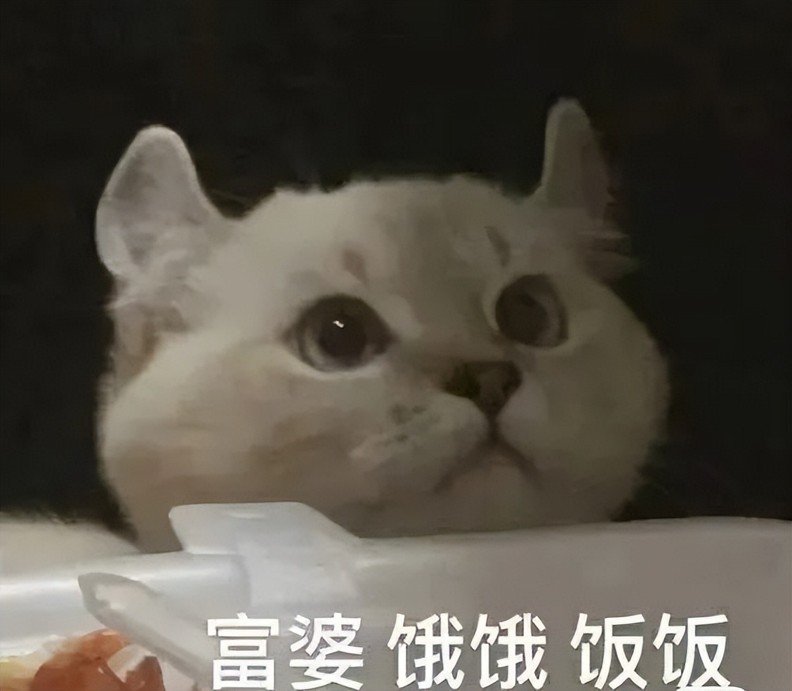 Nearly half of Japanese men want to eat soft rice, let's see what a day ...