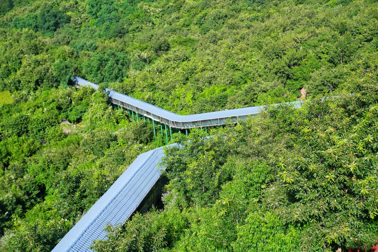 Come to Fuxi Mountain for summer travel It #39 s so cool to catch crabs