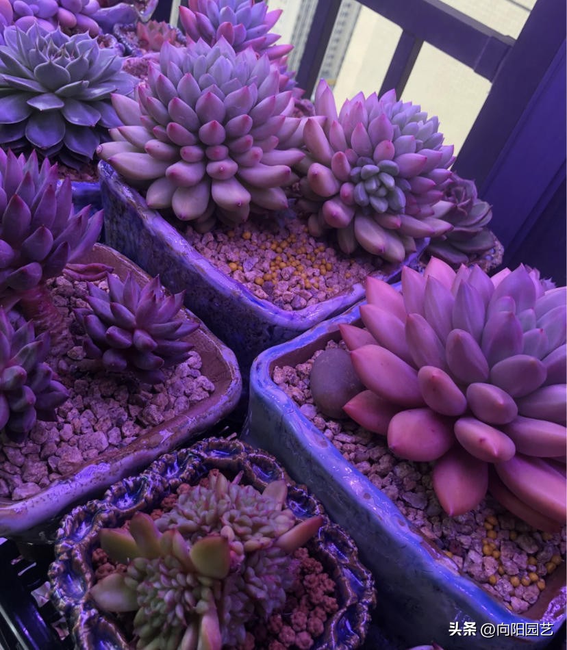 What kind of fill light is best to use?How should I choose?Share 2