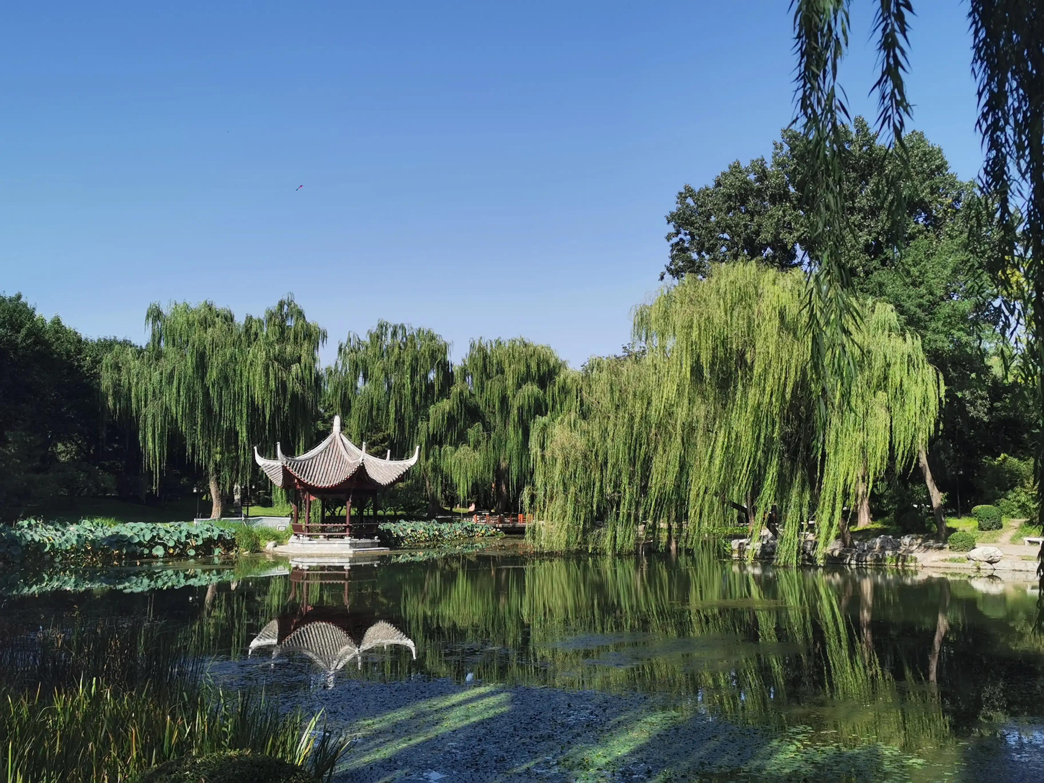 Autumn Tour Taoranting Pavilion - iNEWS