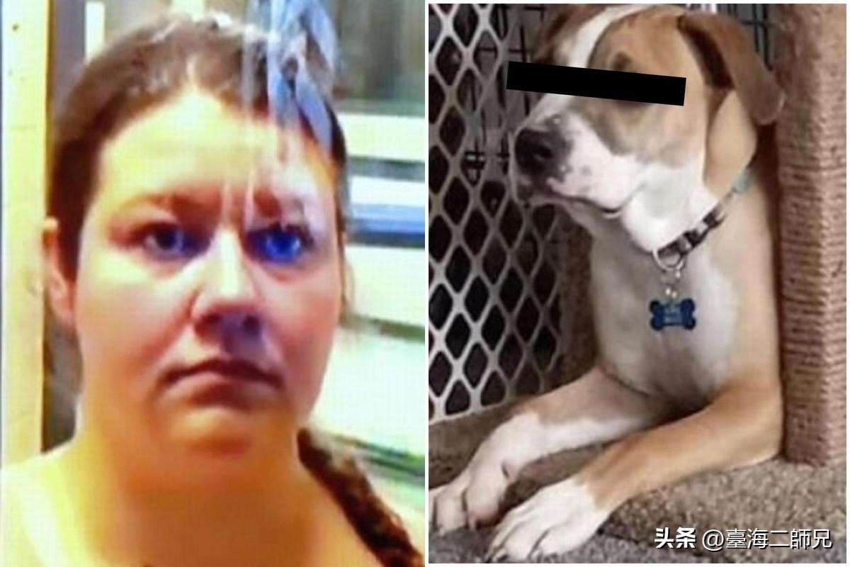 The woman seduced the dog, and the ex-boyfriend was overwhelmed after  watching the film! The dog in question showed up bravely - iMedia