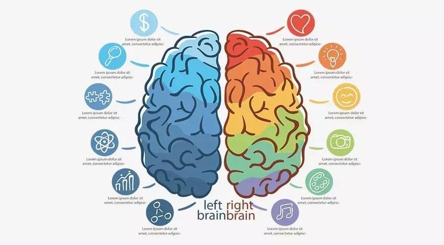 How does the brain use ketone bodies to fuel the body? - iNEWS